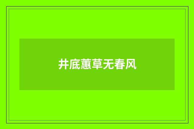 井底蕙草无春风