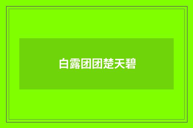 白露团团楚天碧