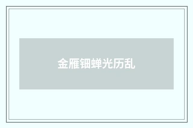 金雁钿蝉光历乱