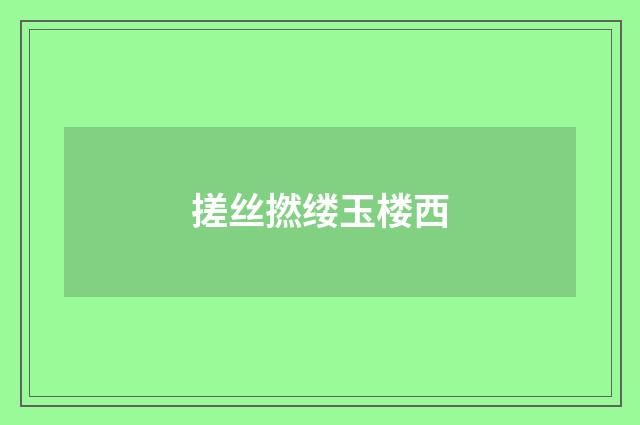 搓丝撚缕玉楼西