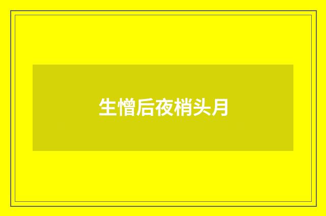 生憎后夜梢头月