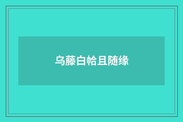 乌藤白帢且随缘
