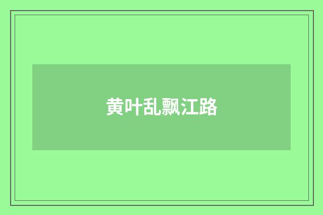 黄叶乱飘江路