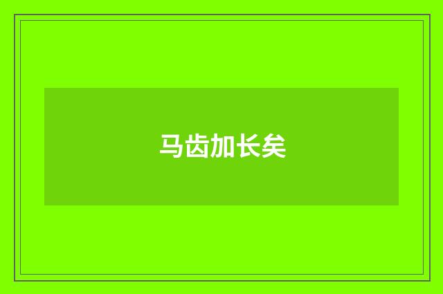 马齿加长矣