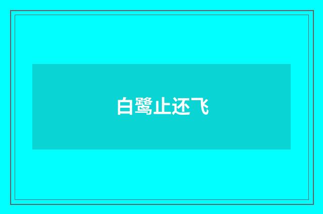 白鹭止还飞