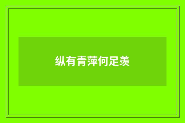 纵有青萍何足羡