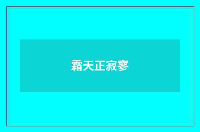 霜天正寂寥