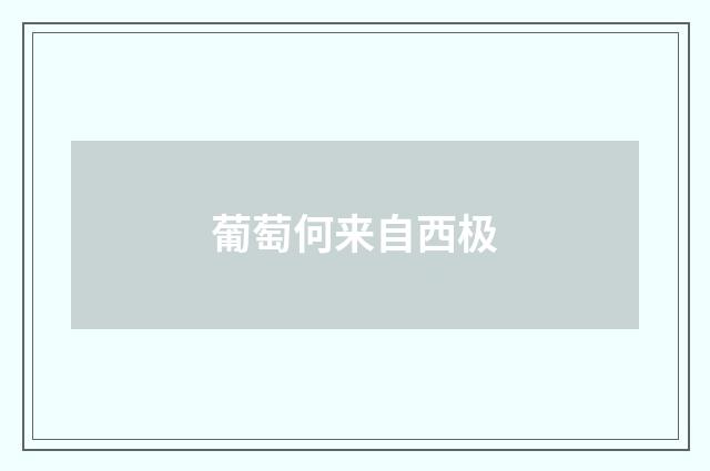 葡萄何来自西极