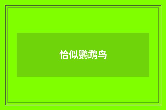 恰似鹦鹉鸟