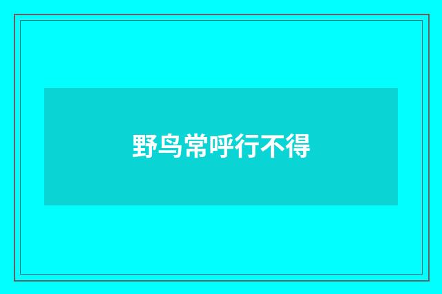 野鸟常呼行不得