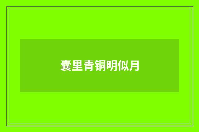 囊里青铜明似月
