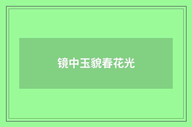 镜中玉貌春花光