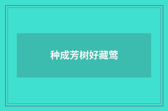 种成芳树好藏莺