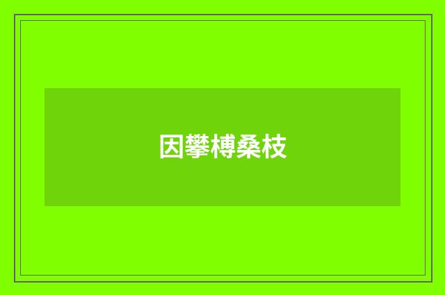 因攀榑桑枝