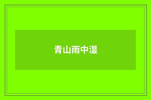 青山雨中湿
