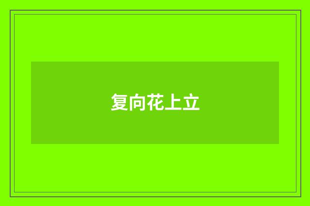 复向花上立