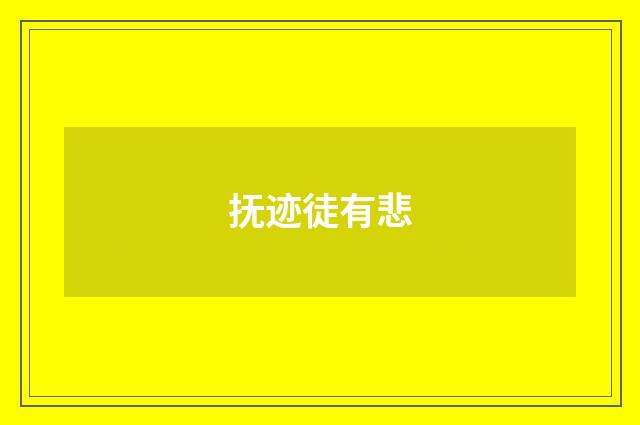 抚迹徒有悲