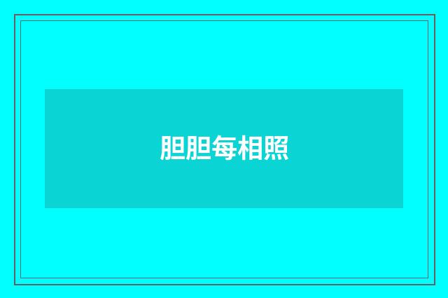 胆胆每相照