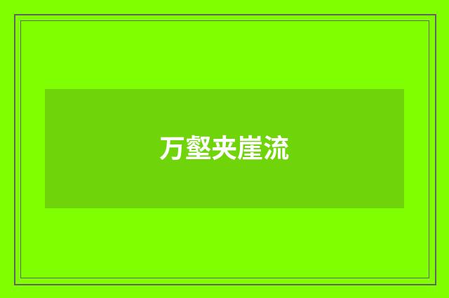 万壑夹崖流