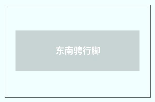 东南骋行脚