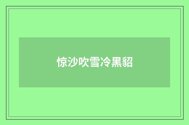 惊沙吹雪冷黑貂