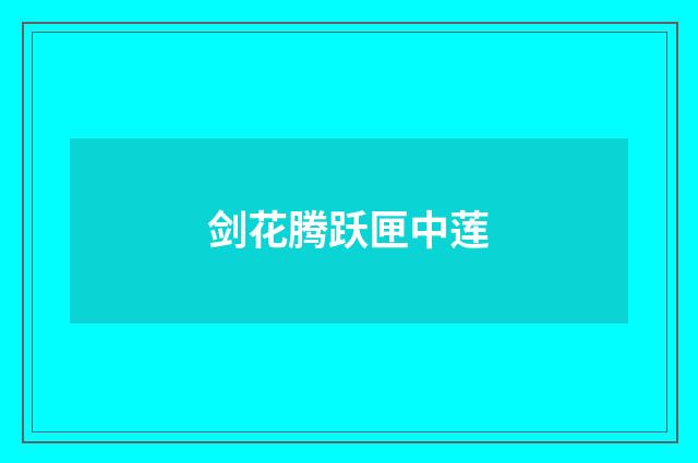 剑花腾跃匣中莲