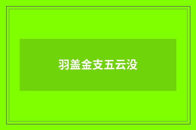 羽盖金支五云没