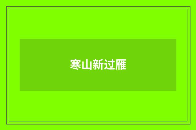 寒山新过雁