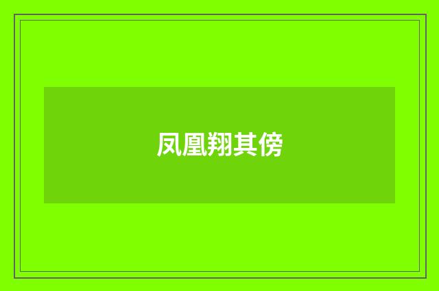 凤凰翔其傍