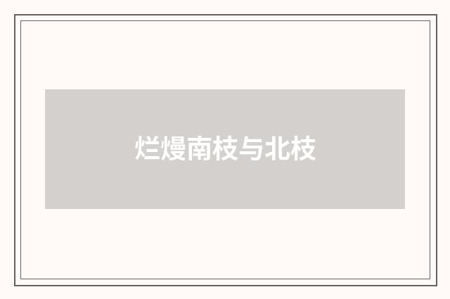 烂熳南枝与北枝