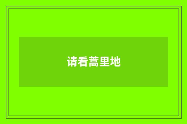 请看蒿里地