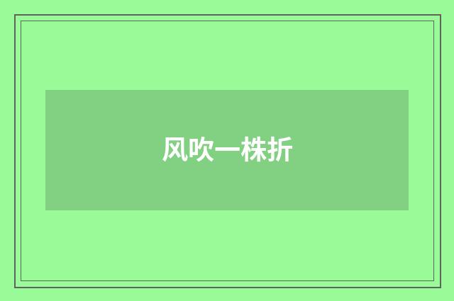 风吹一株折