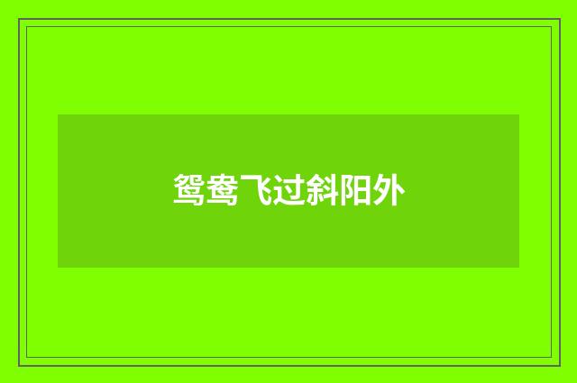鸳鸯飞过斜阳外