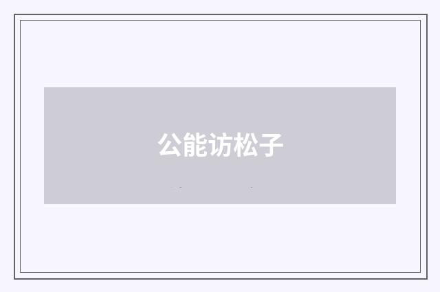 公能访松子