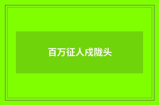 百万征人戍陇头