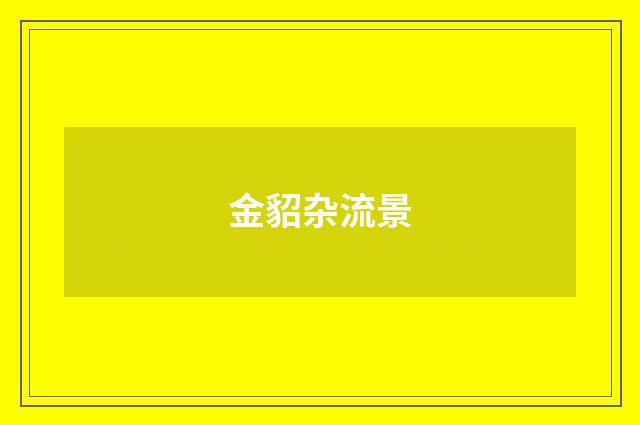 金貂杂流景