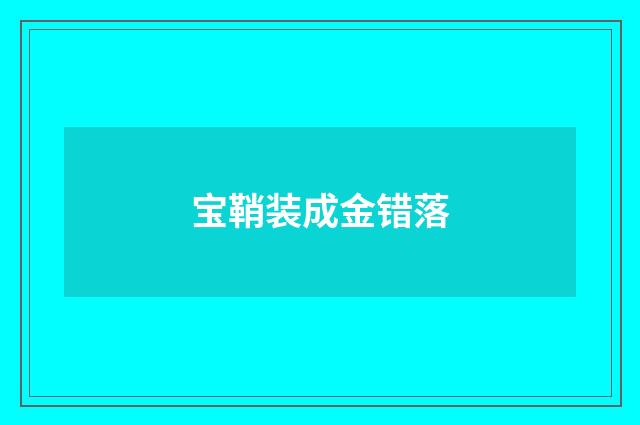 宝鞘装成金错落