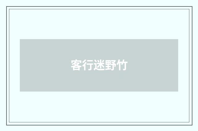客行迷野竹