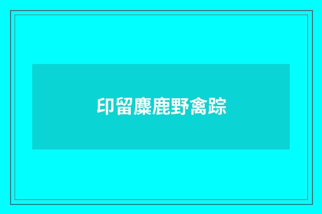 印留麋鹿野禽踪