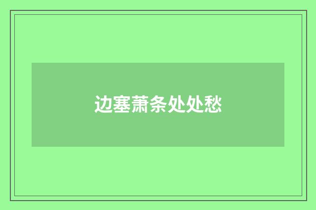 边塞萧条处处愁