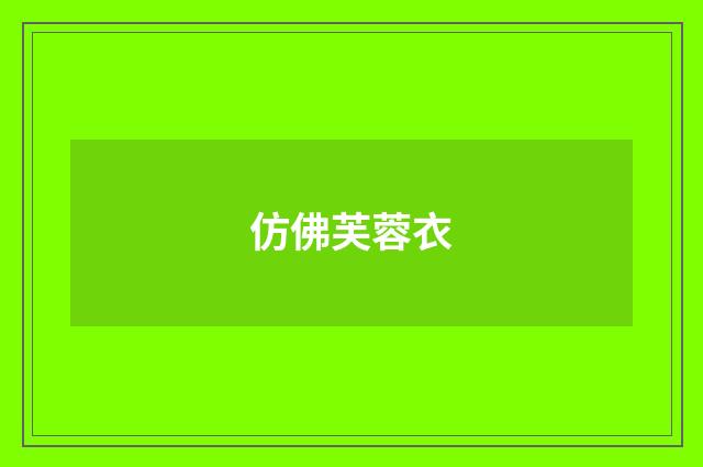 仿佛芙蓉衣