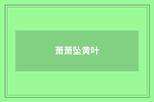 萧萧坠黄叶