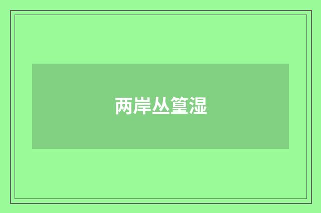 两岸丛篁湿