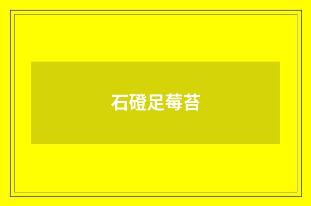 石磴足莓苔