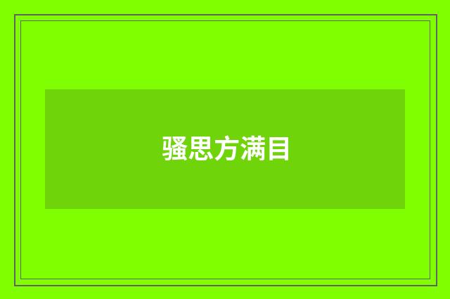 骚思方满目