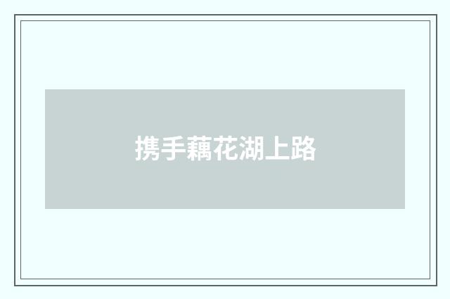 携手藕花湖上路