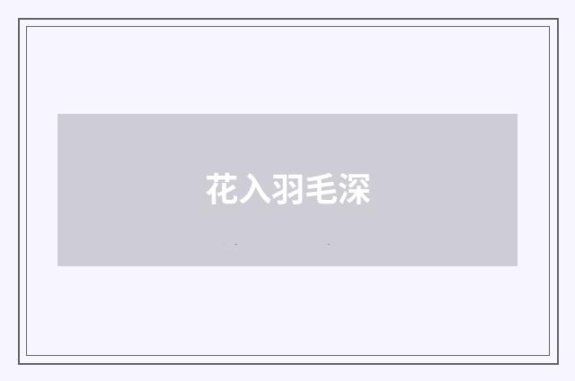 花入羽毛深