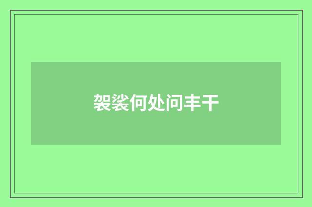 袈裟何处问丰干