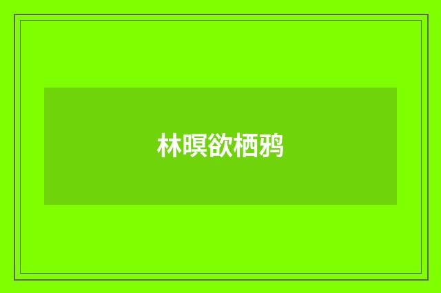 林暝欲栖鸦
