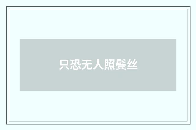 只恐无人照鬓丝